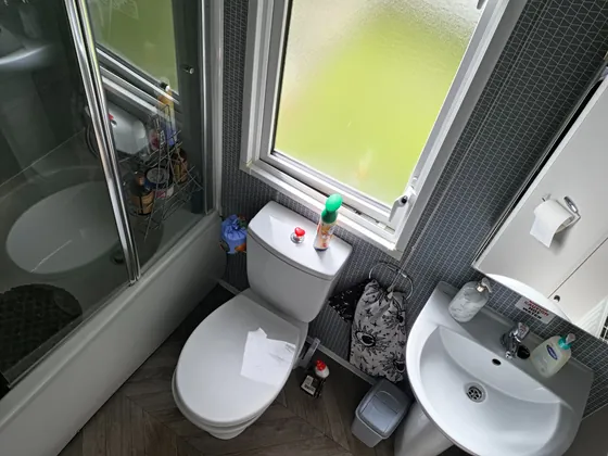 Bathroom with WC, basin and shower over bath.