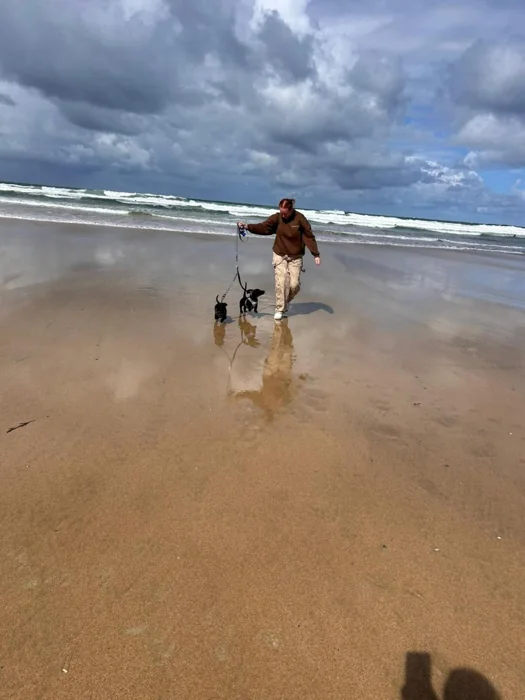 Guest walking two dogs along the beach with reflections in the wet sand.
