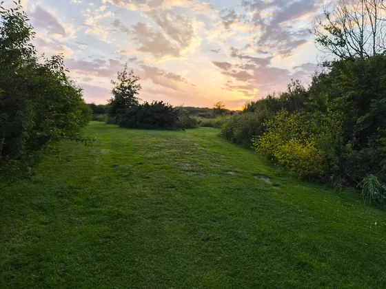 Green walking path and sunset sky near the caravan.