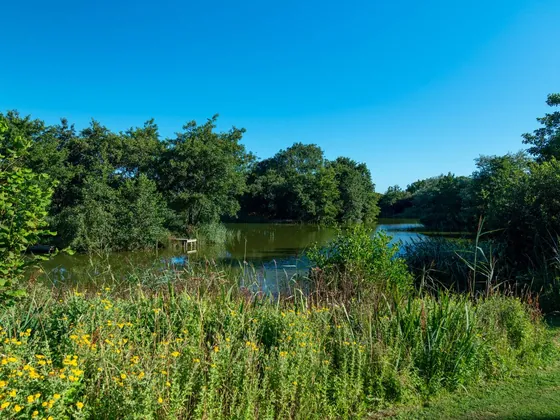 Peaceful lake and greenery within the holiday park grounds.