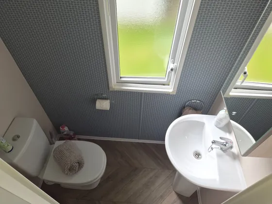 Separate WC with wash basin and patterned wall detail.