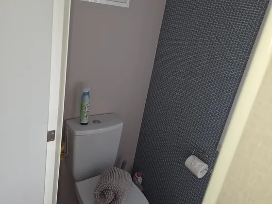 Separate WC with modern decor.